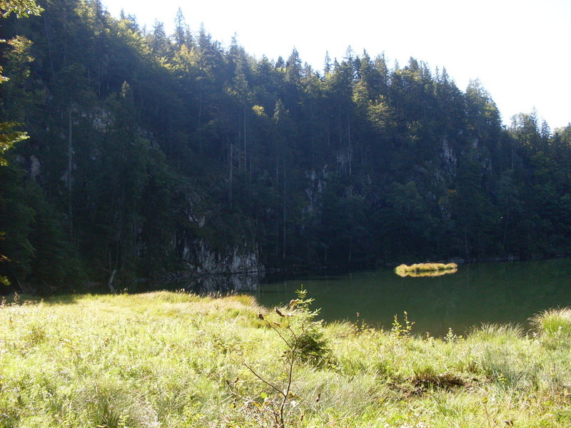 sdc14624whpvb.jpg