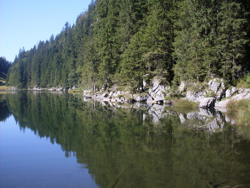 sdc14628dtqgu.jpg