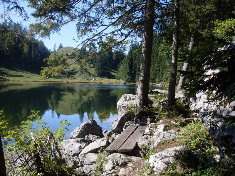 sdc14633mdrd7.jpg