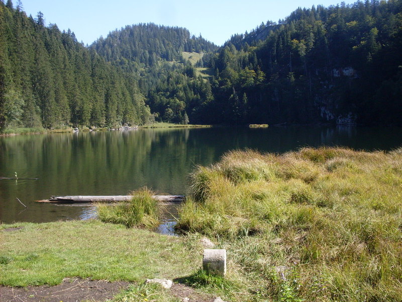 sdc146491uor3.jpg