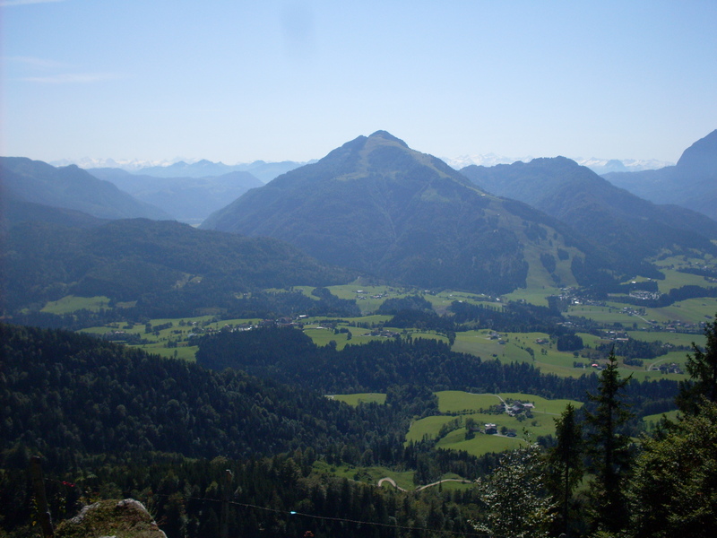 sdc14664bvbq7.jpg