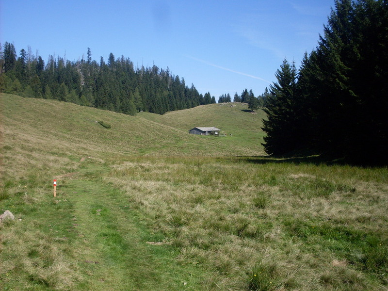 sdc14673tmril.jpg
