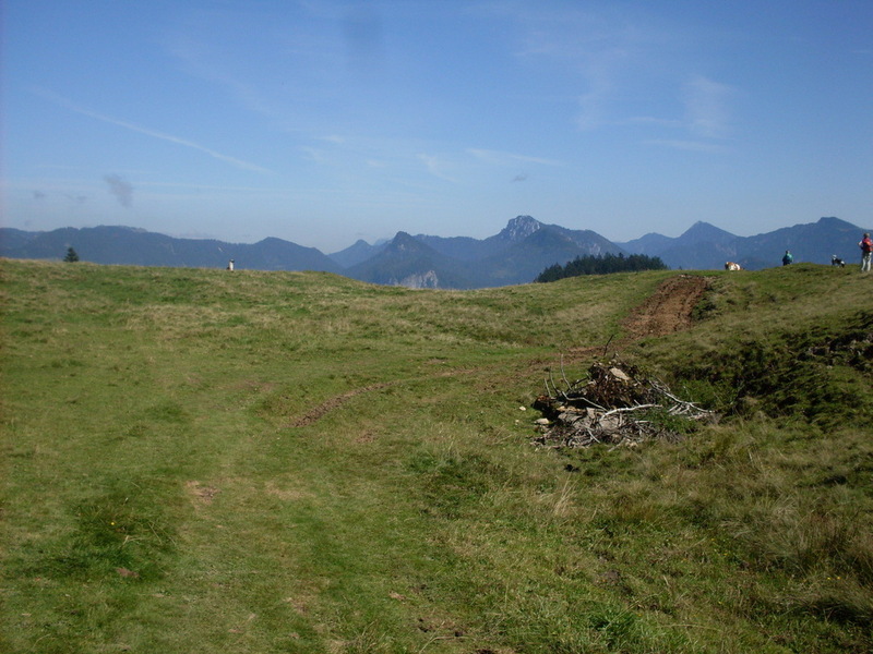 sdc14675t0si1.jpg