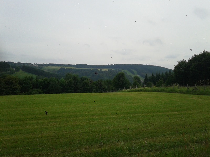 01hxrf8.jpg