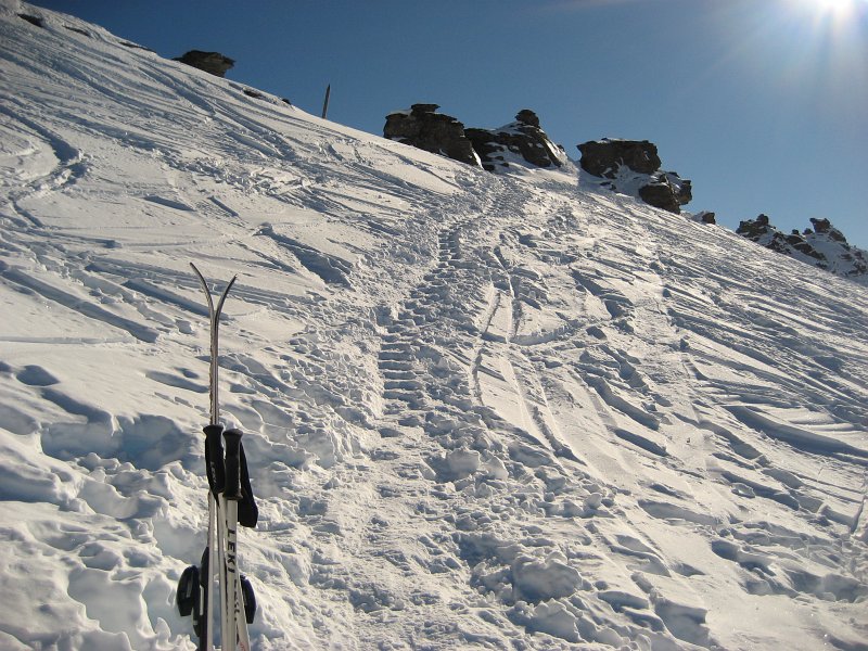 neuseeland_555d5sya.jpg