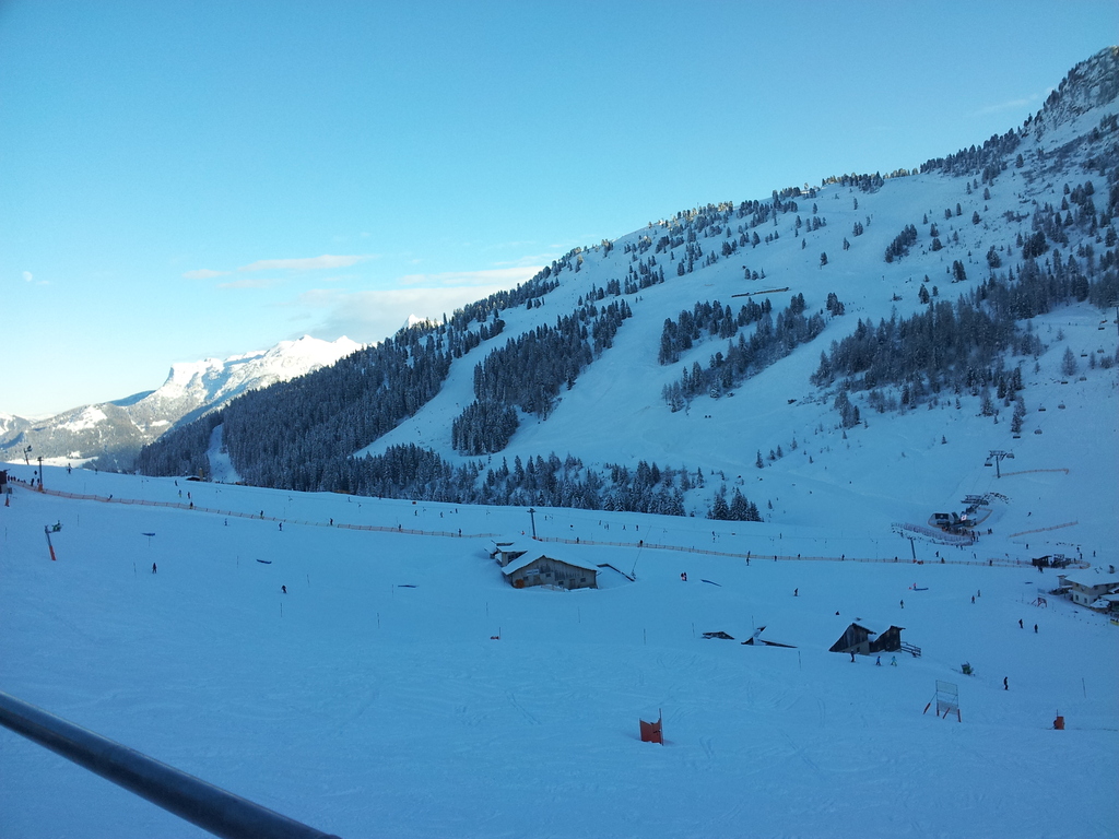 20150101_145226u8umh.jpg