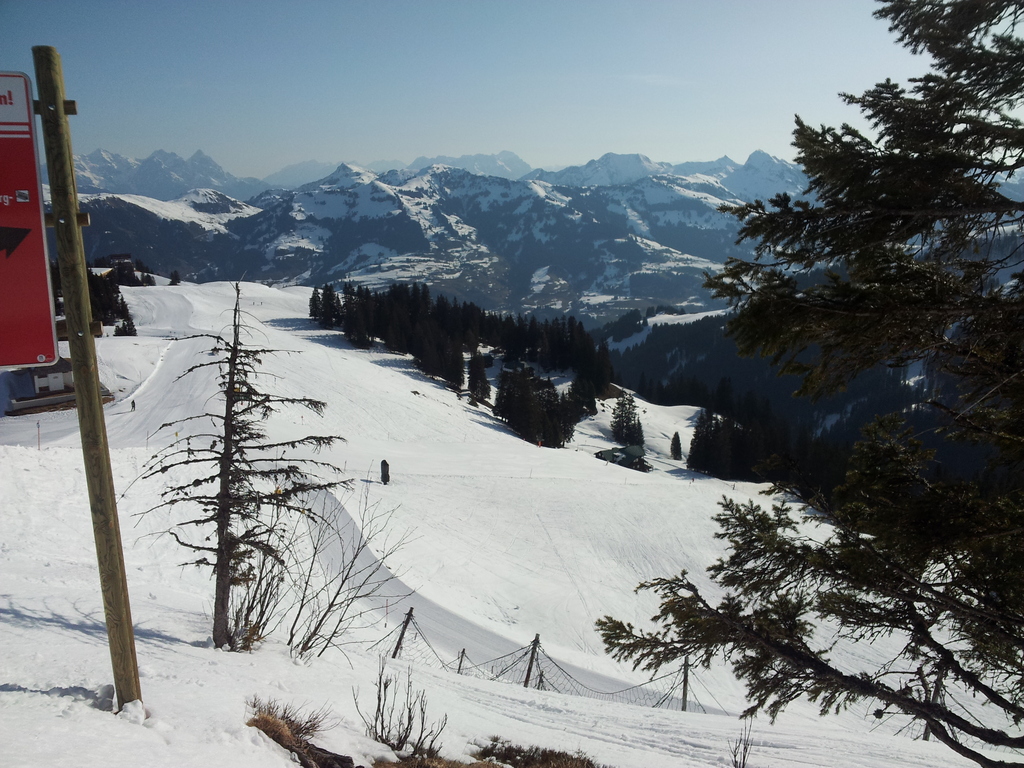 20150318_0846312yuvg.jpg
