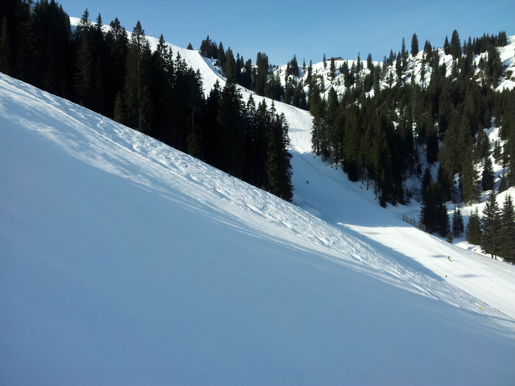 20150318_085143aquet.jpg