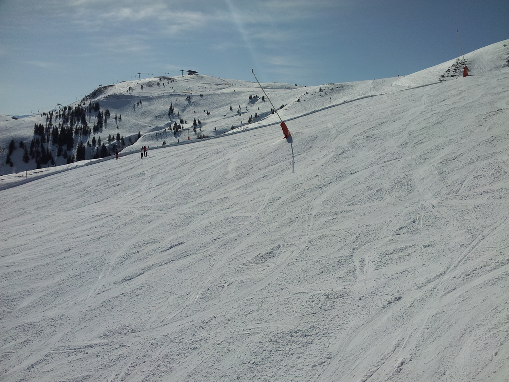20150318_11154971up5.jpg