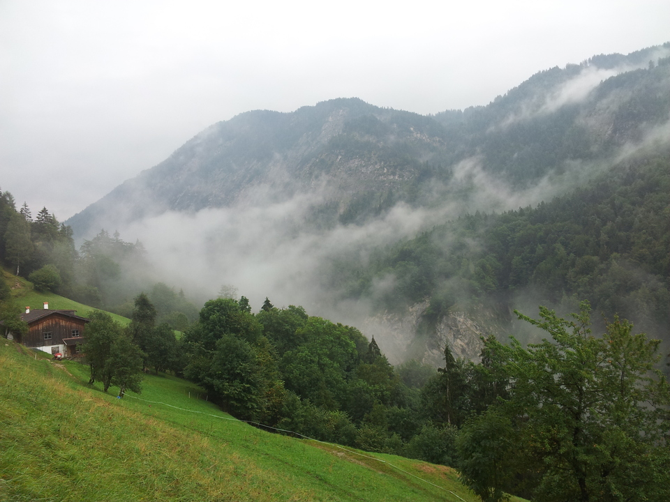 20150820_092057sarzz.jpg