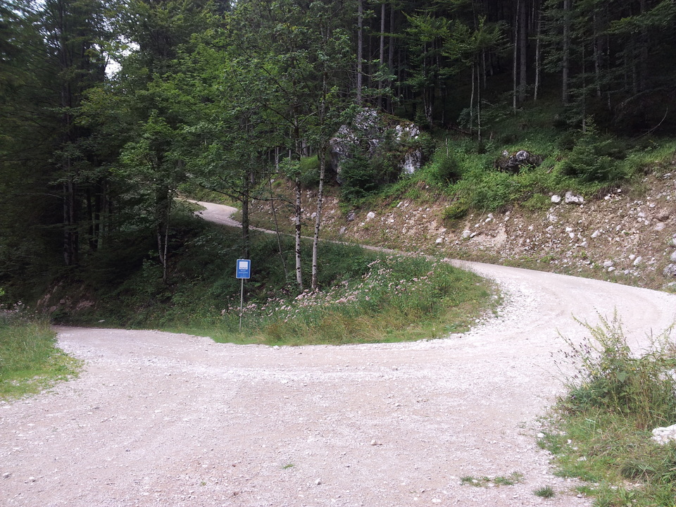 20150820_131819plr1c.jpg