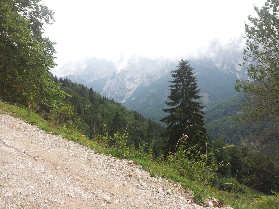 20150820_13344849oyz.jpg