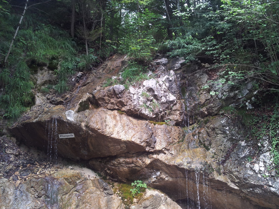 20150820_140107wyque.jpg