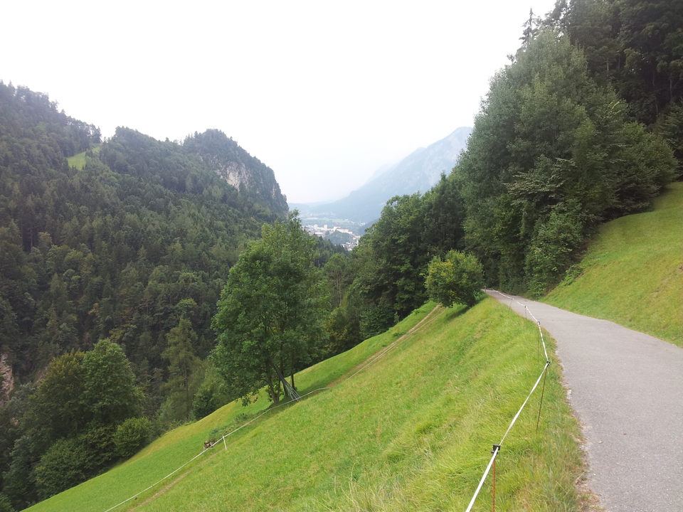 20150820_14331750rfb.jpg