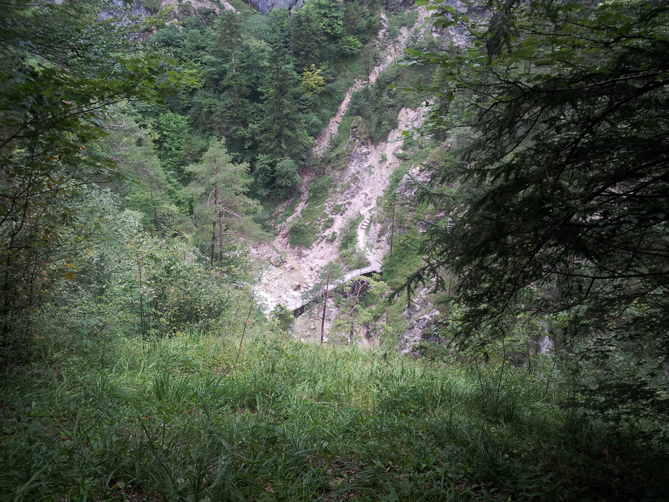 20150820_1445422ro11.jpg