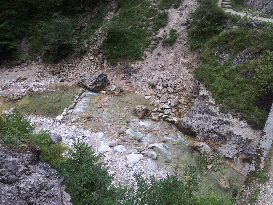 20150820_1504531pou5.jpg