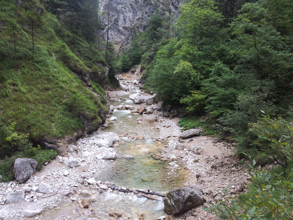 20150820_150809c8p9v.jpg
