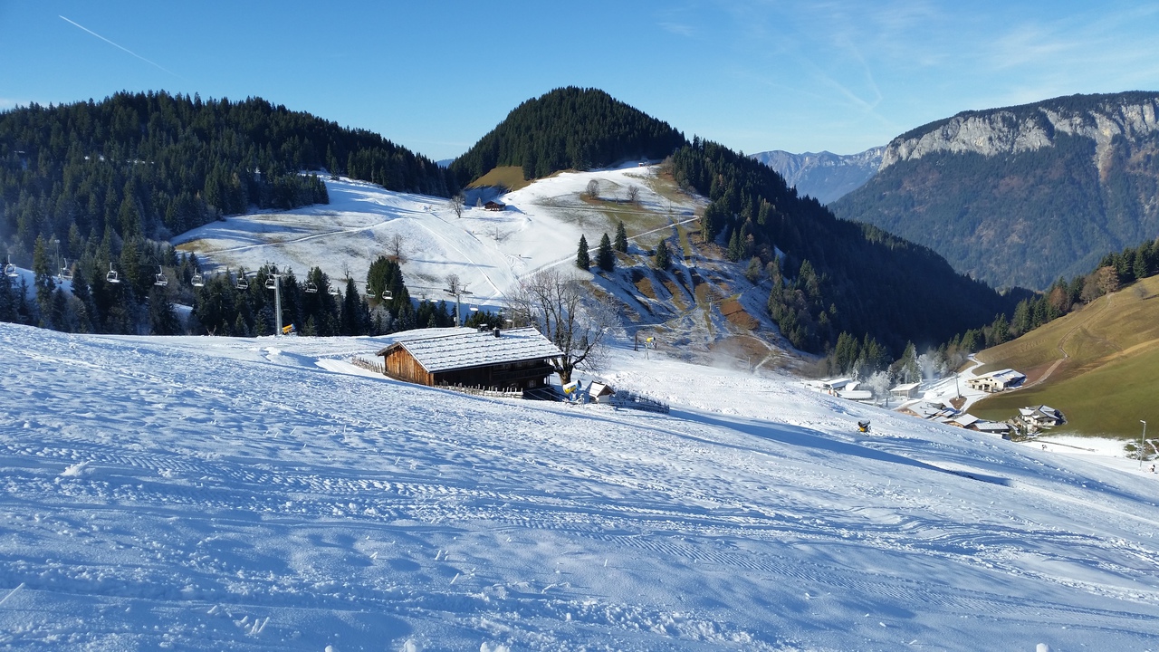 20161204_120703sgr44.jpg