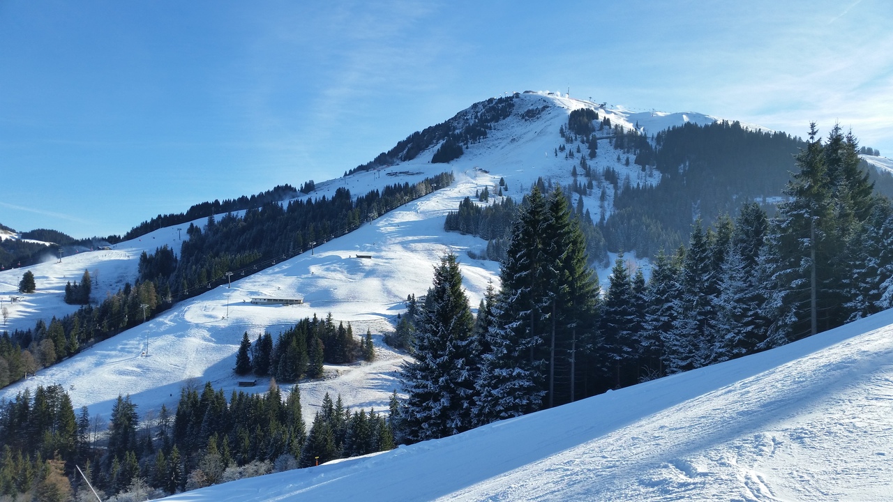 20161204_123346gupkk.jpg