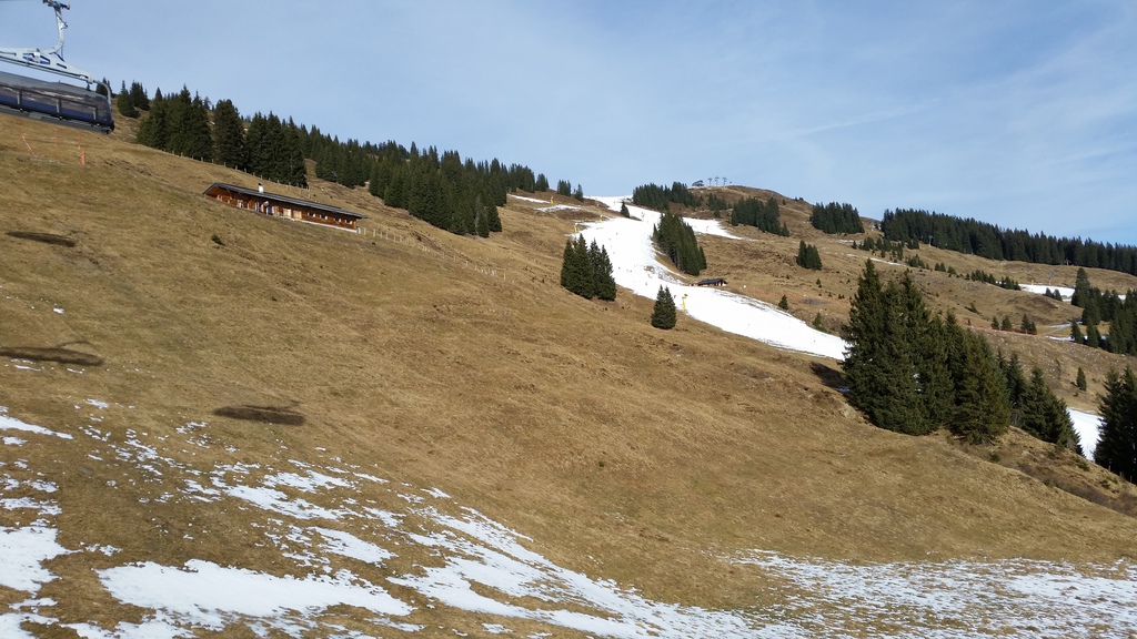 20161209_120011jgpcs.jpg