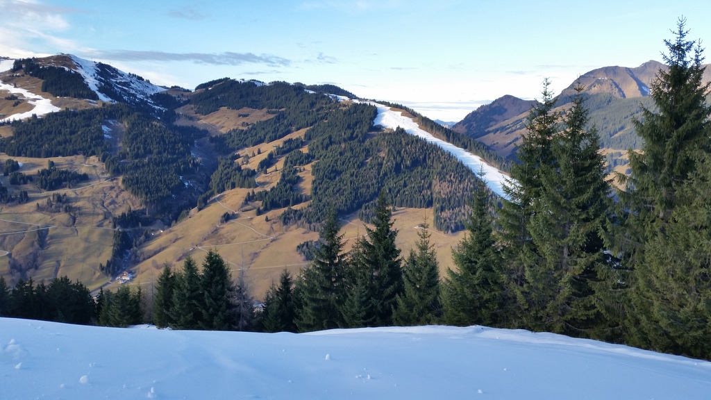 20161209_143421hvp55.jpg