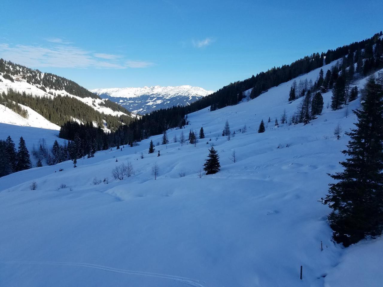 k1600_20181227_125500ymdmo.jpg