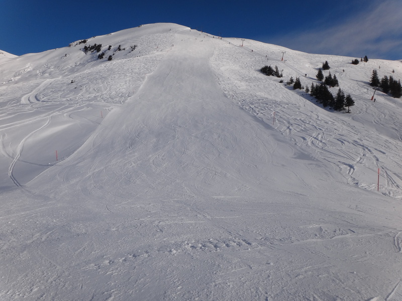 dsc003704oj4k.jpg