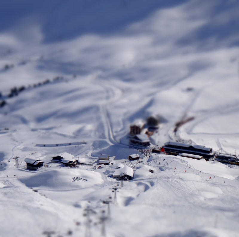 dsc01114mwsbr.jpg