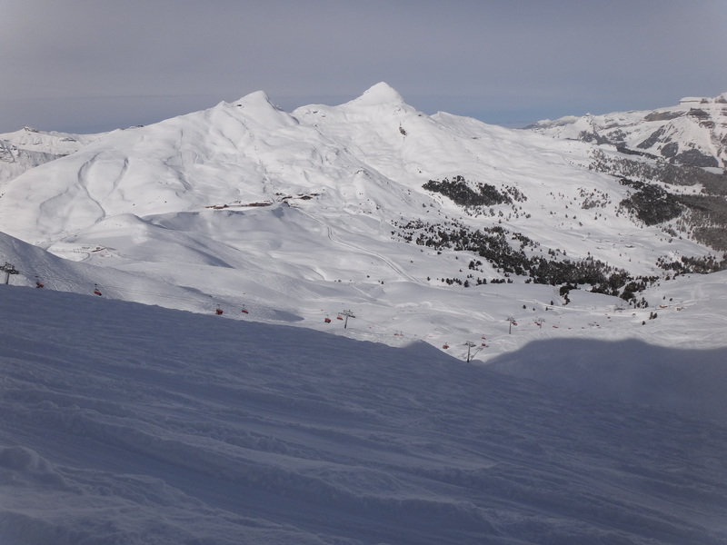 dsc01116yvqyp.jpg