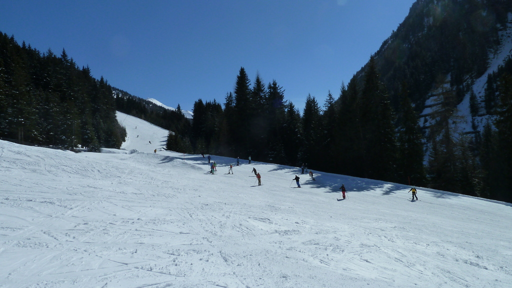 p103033259fev.jpg