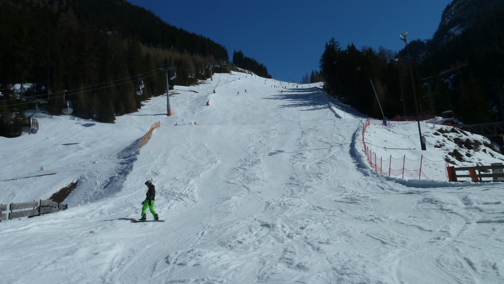 p1030335oziyo.jpg