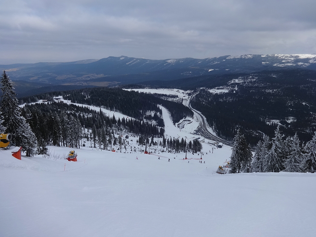 comp_dsc00387trs9i.jpg