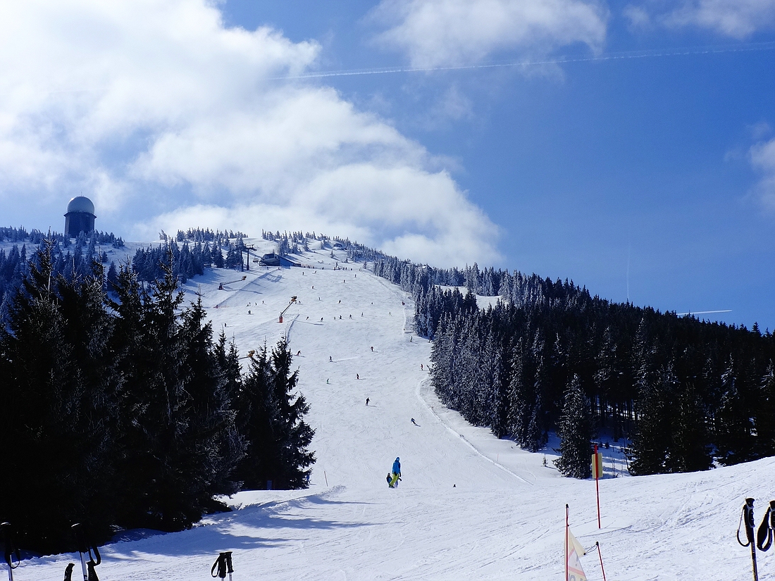 comp_dsc00398f8sw8.jpg