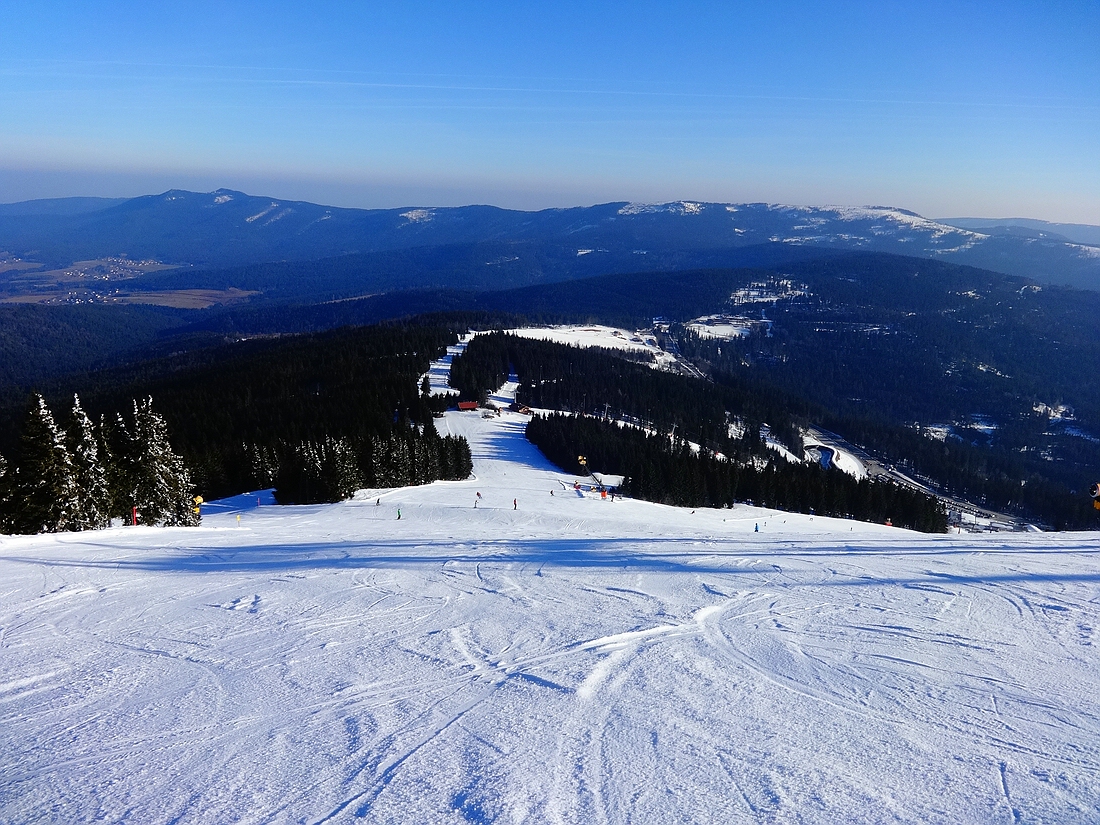 comp_dsc004130ds9c.jpg