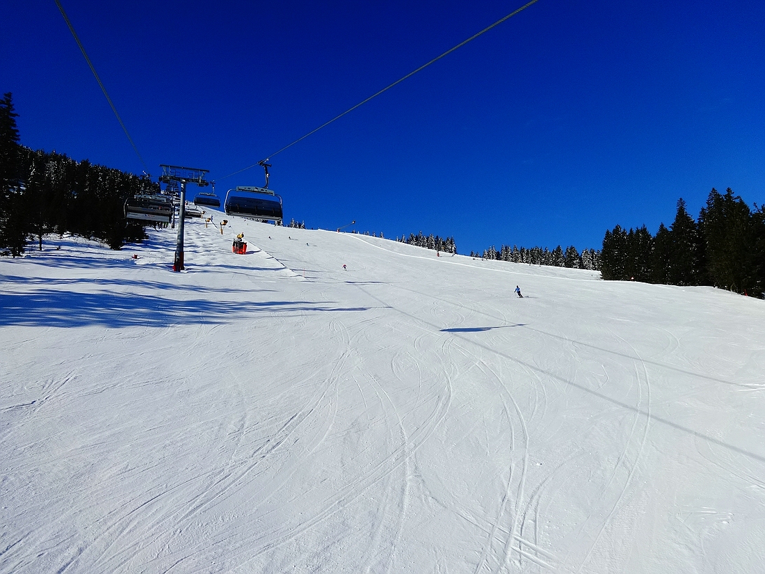 comp_dsc0041991s0o.jpg