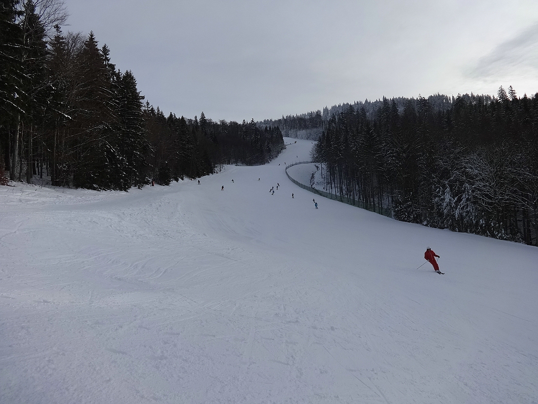 comp_dsc011514oe28.jpg