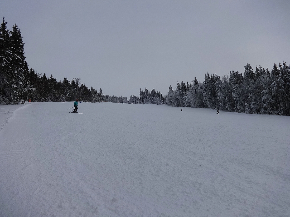 comp_dsc01175bgequ.jpg