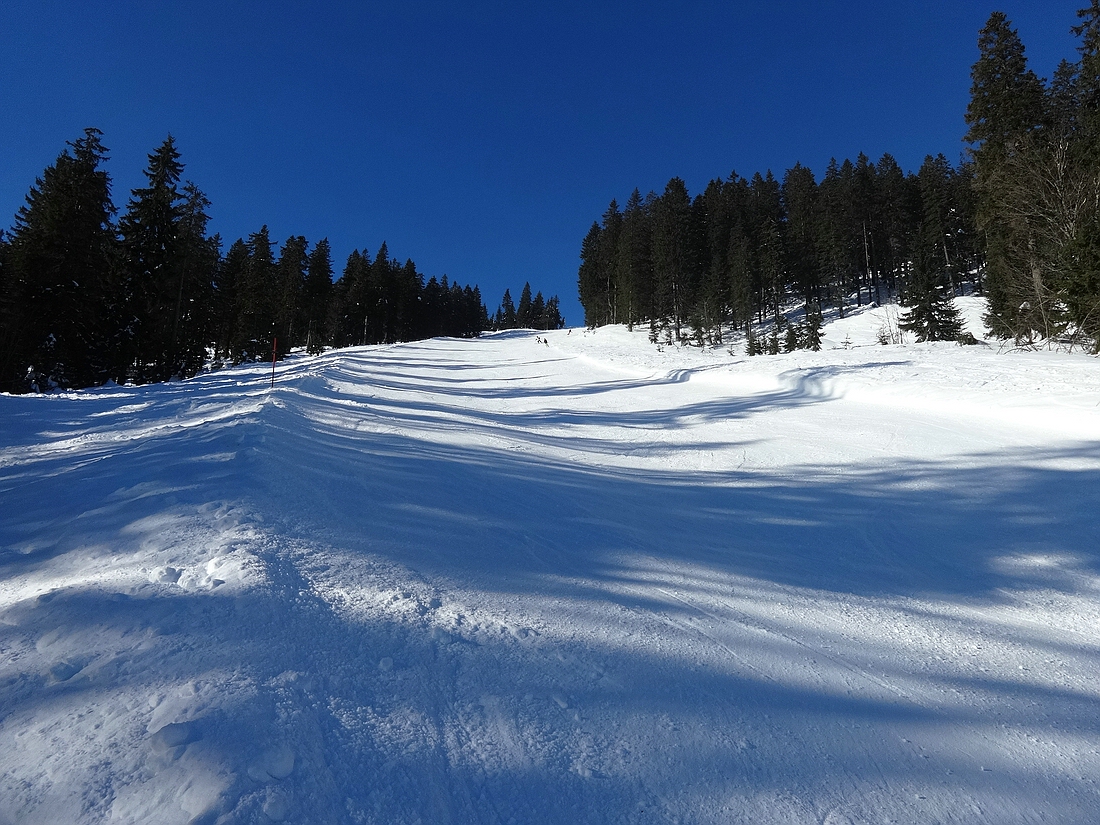 comp_dsc013790vknr.jpg