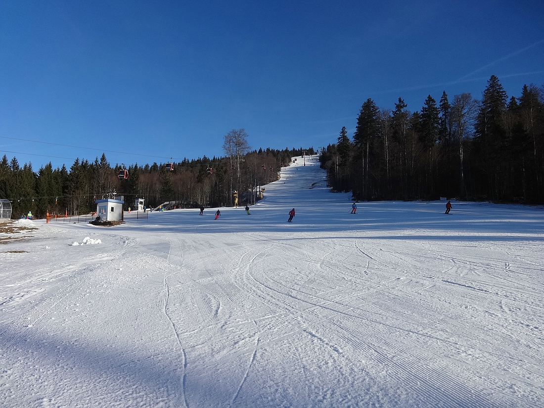 comp_dsc02095skkfn.jpg