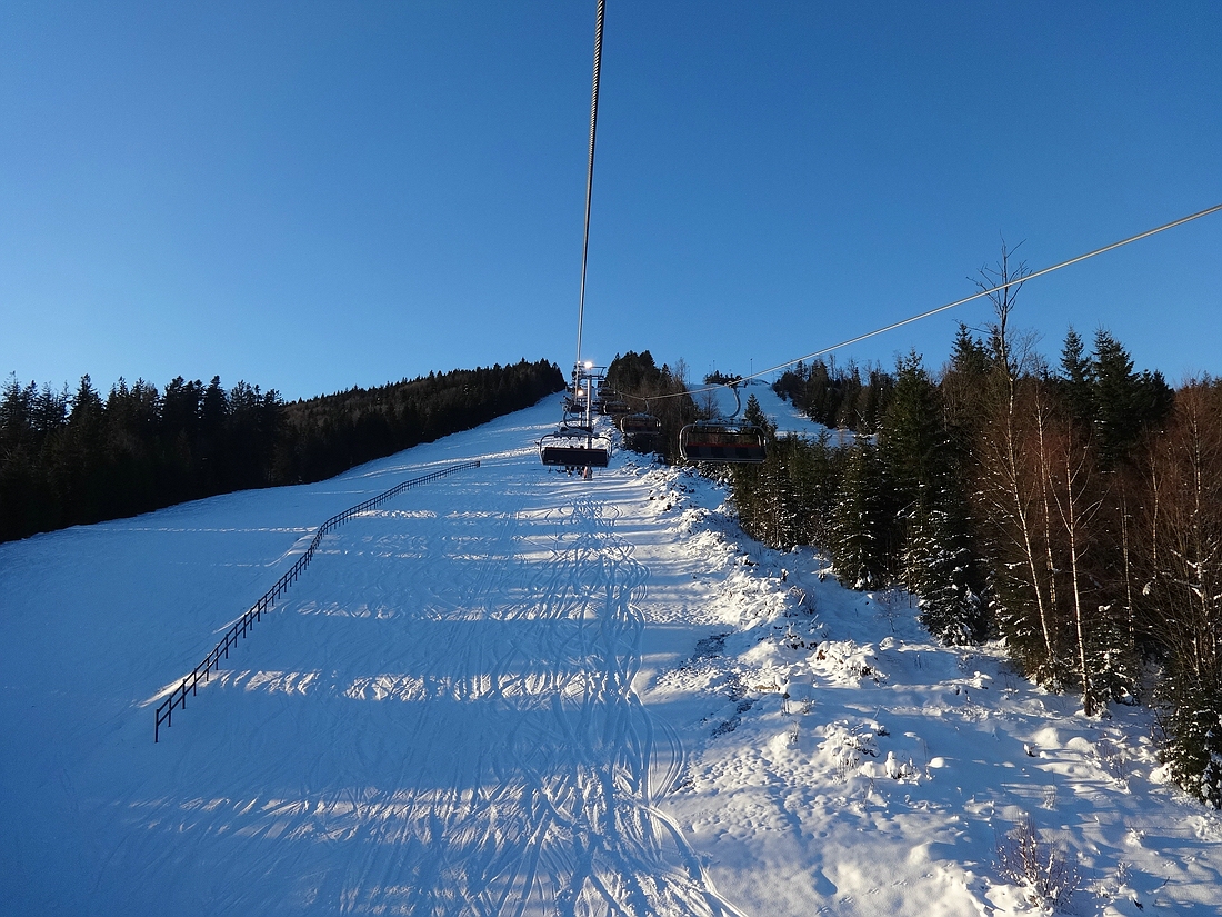 comp_dsc032423ojxx.jpg