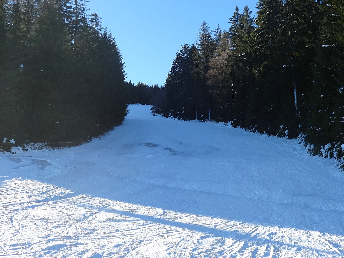 comp_dsc03275csko0.jpg