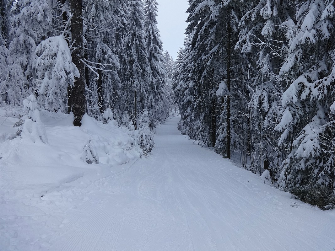 comp_dsc0357654swe.jpg