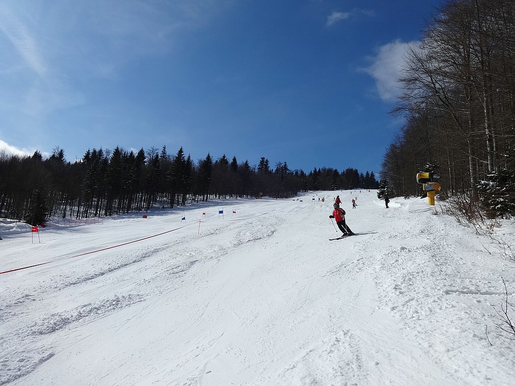 comp_dsc041896kkl0.jpg