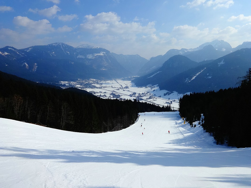 comp_dsc04249tlus3.jpg