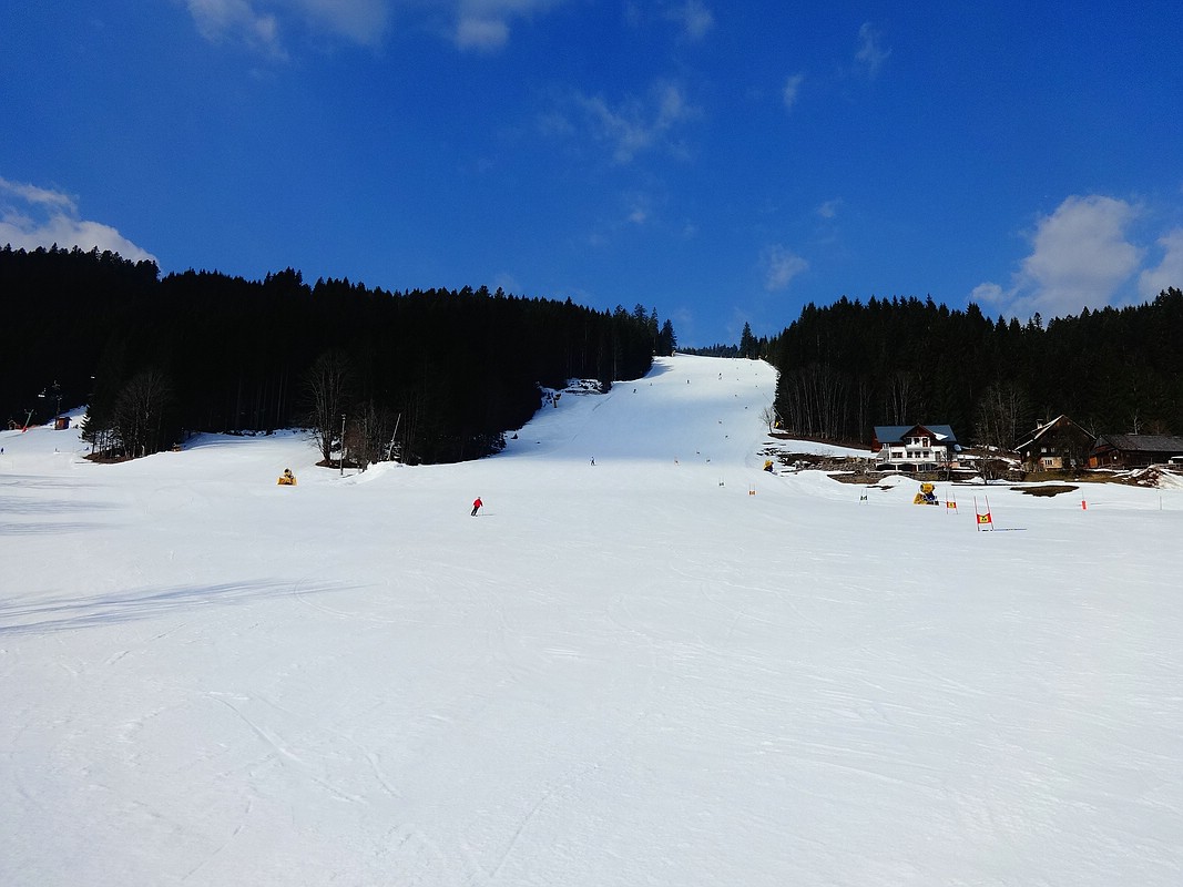 comp_dsc042500qu74.jpg