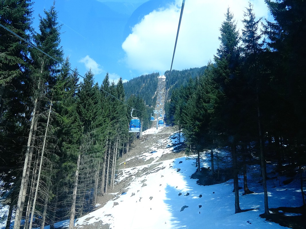 comp_dsc04320xfuqt.jpg