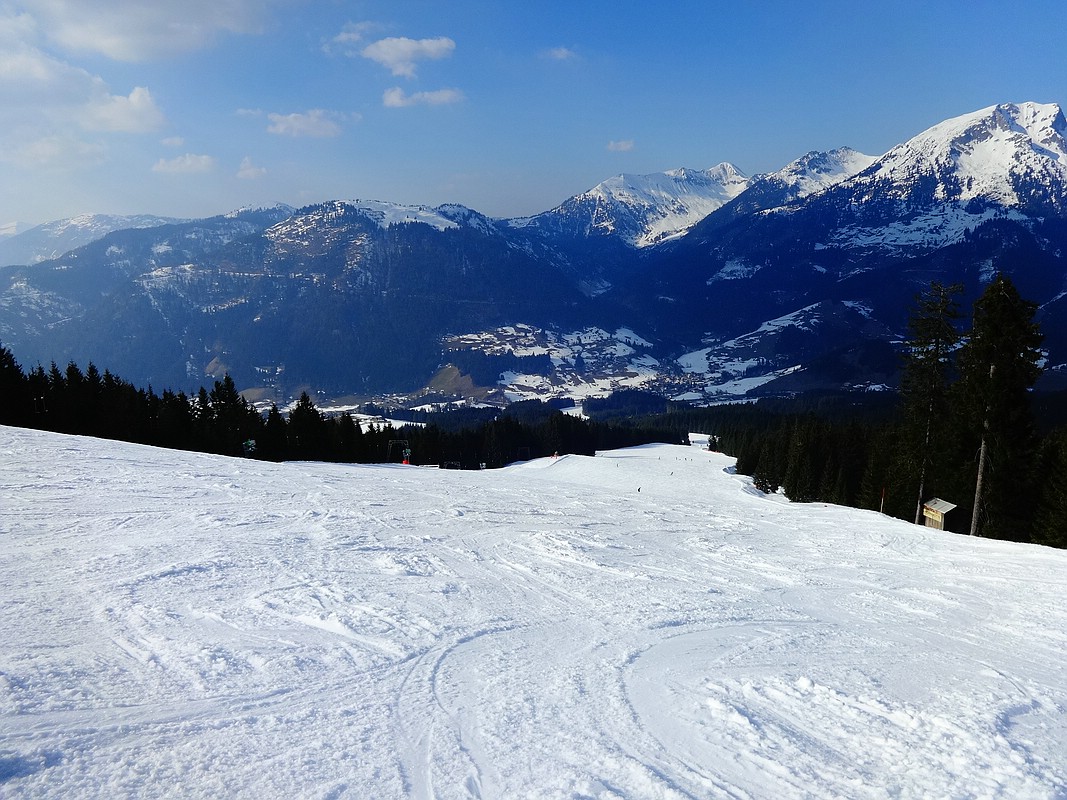 comp_dsc04380x3udv.jpg
