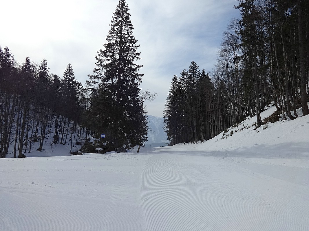 comp_dsc04417vvj87.jpg