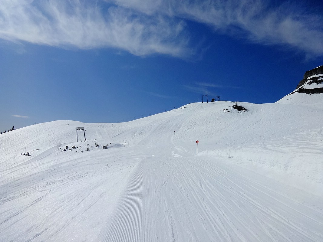 comp_dsc044956njd1.jpg