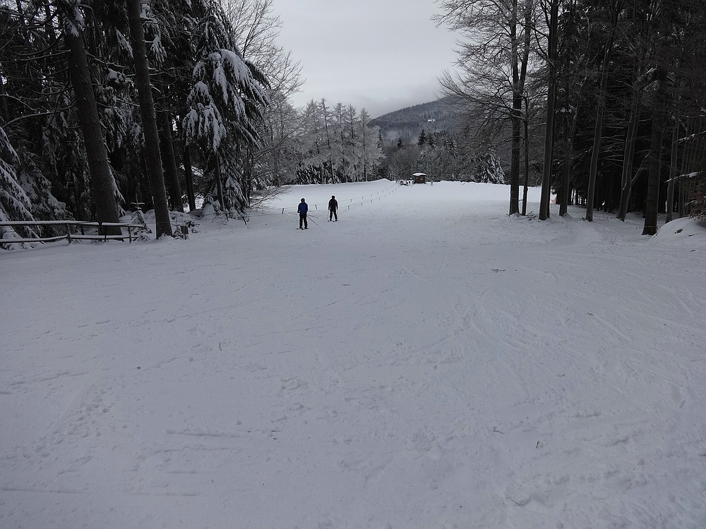 comp_dsc05637jppn1.jpg